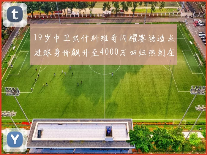 19岁中卫武什科维奇闪耀赛场造点进球身价飙升至4000万回归热刺在即