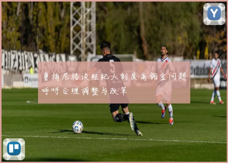 鲁梅尼格谈经纪人制度高佣金问题呼吁合理调整与改革